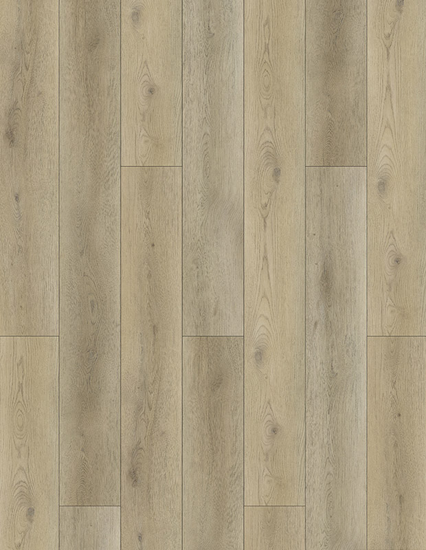 Sarcus Oak
