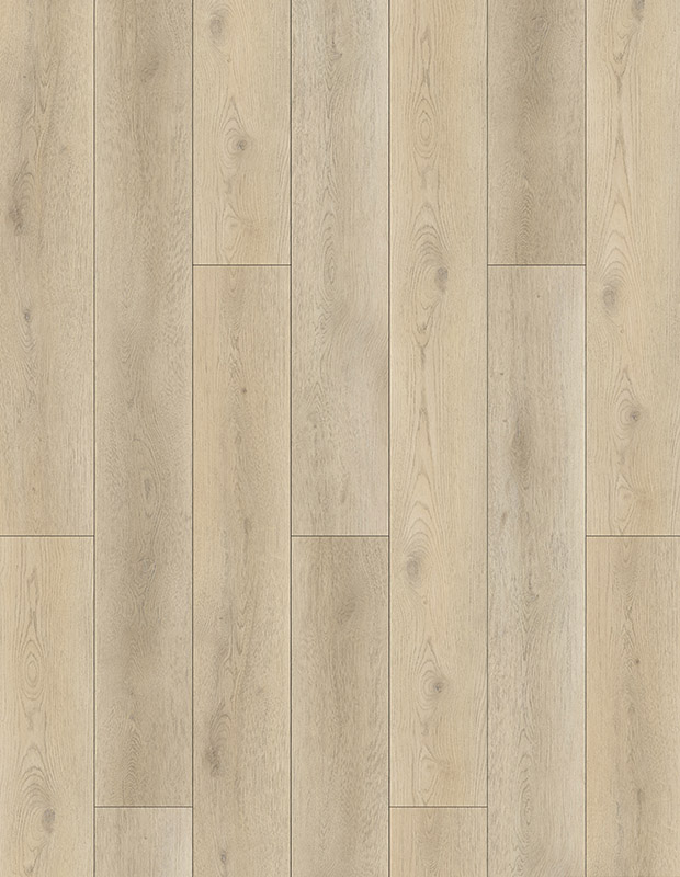 Sarcus Oak