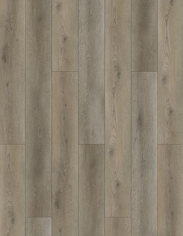Sarcus Oak