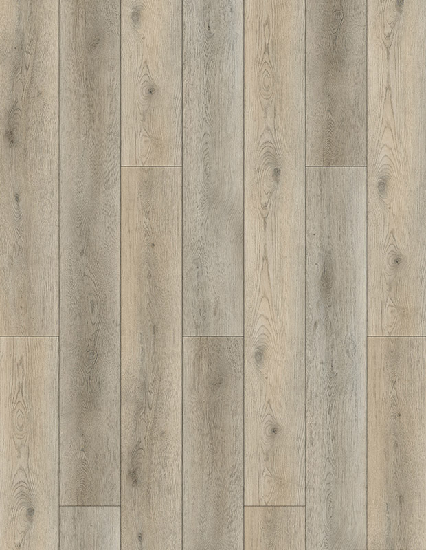 Sarcus Oak